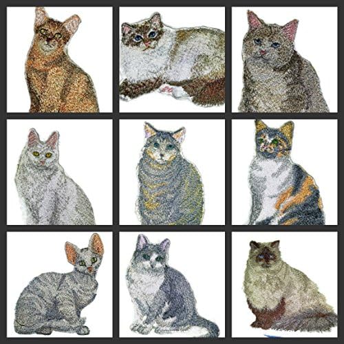 דיוקנאות חתולים מותאמים אישית מדהימים [Cortoiseshell Cat] ברזל רקום על תיקון/תפירה [4.5 x 3.5] תוצרת ארהב]
